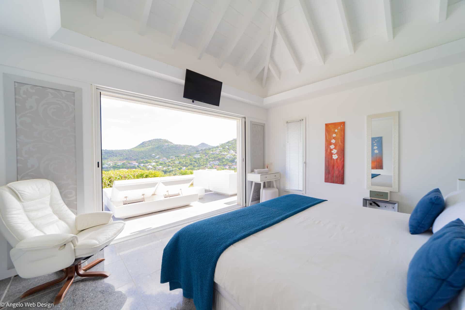 Ivy - 2-bedroom luxury villa in St. Barthélemy - Image 14