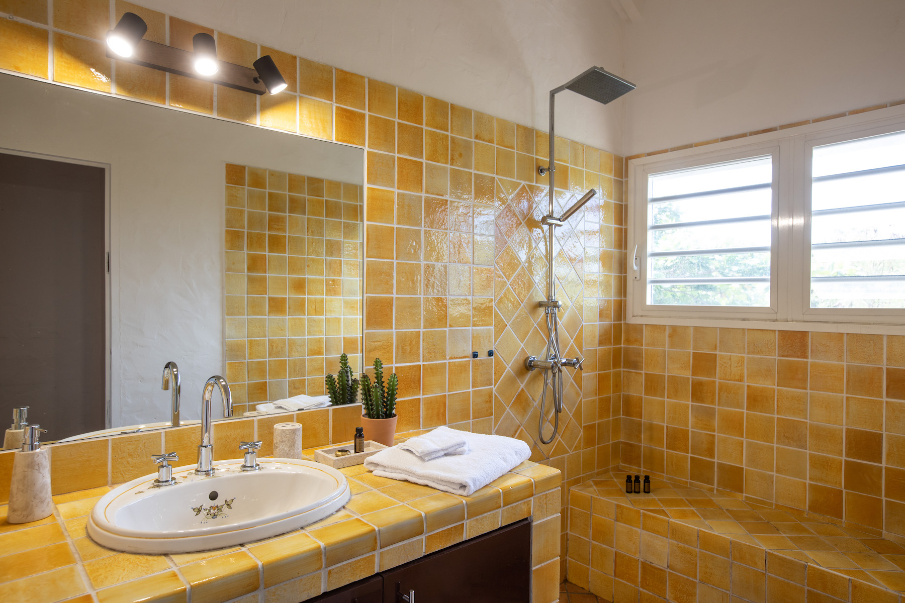 Villa La Rose Du Desert - 5-bedroom luxury villa in St. Maarten - Image 38