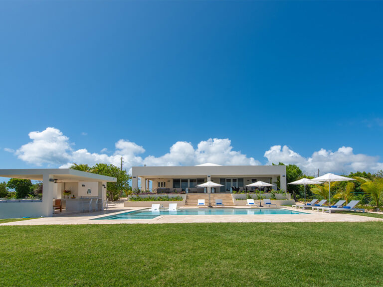 Turtle Nest - Image 5