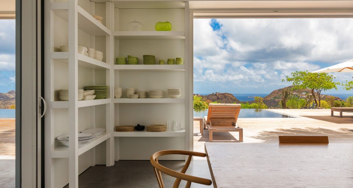 Olive (OLI) - Image 5