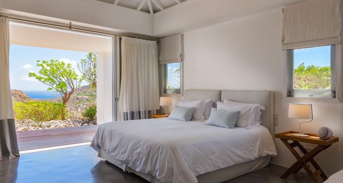 Olive (OLI) - Image 6