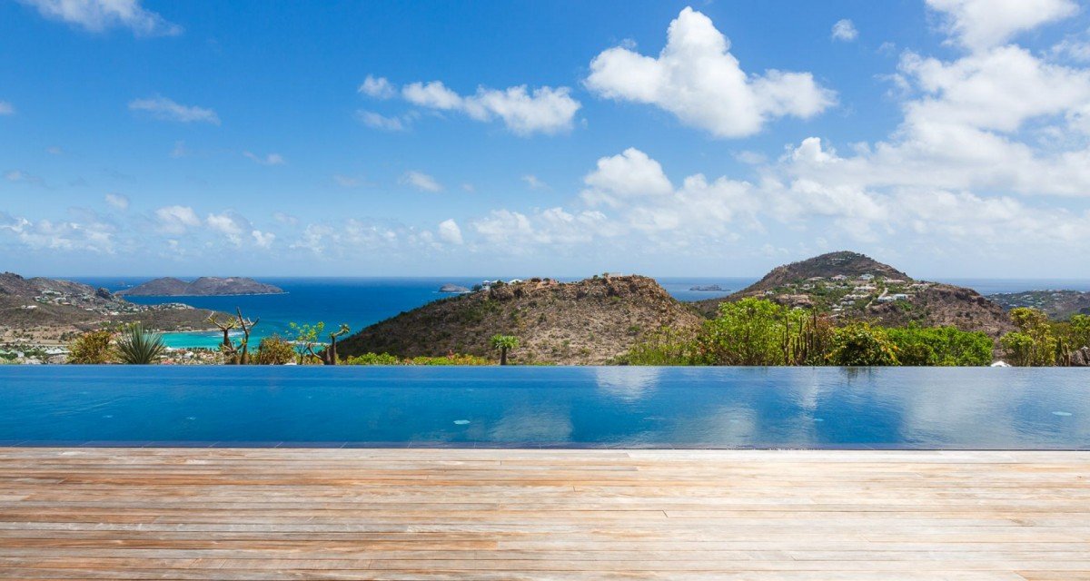 Olive (OLI) - Image 3