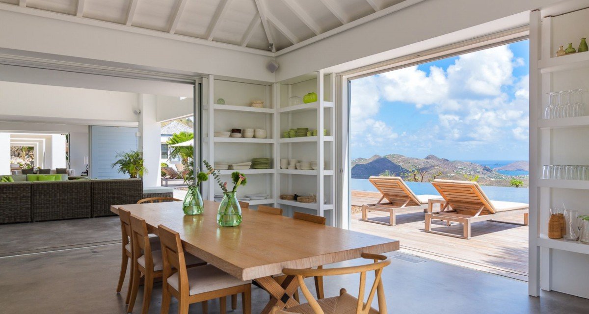 Olive (OLI) - Image 2