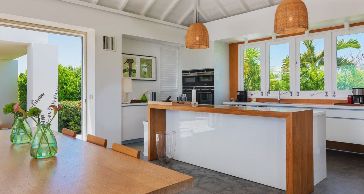 Olive (OLI) - Image 4