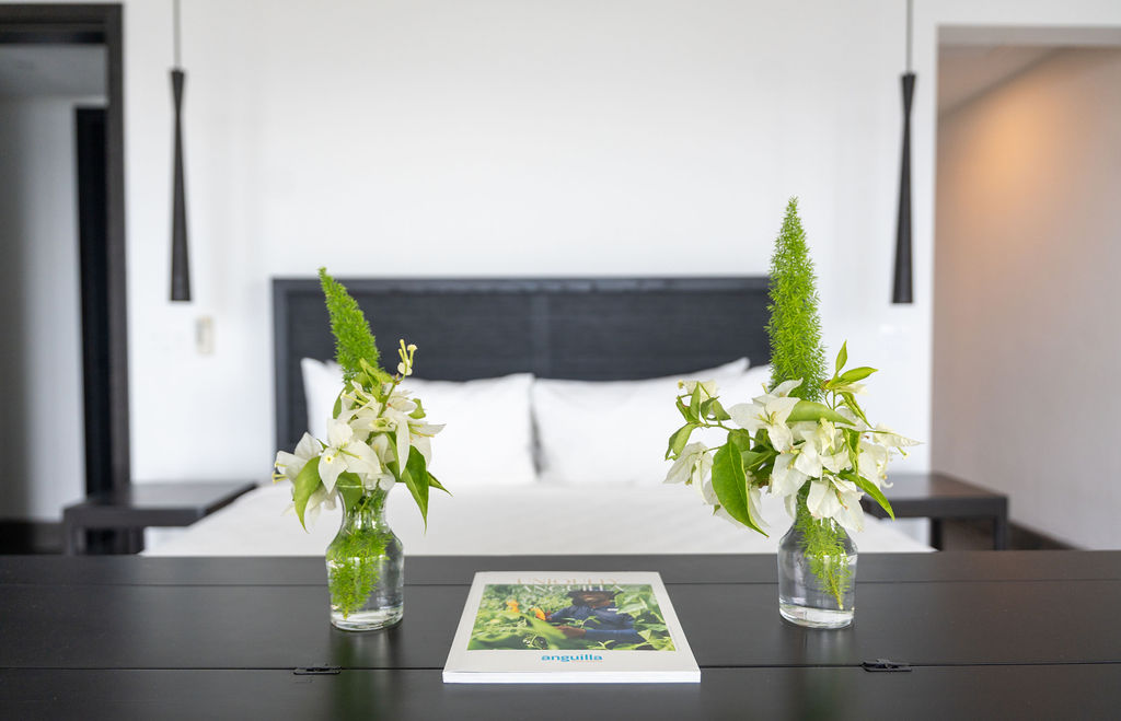 Villa Reve Noir - 4-bedroom luxury villa in Anguilla - Image 31