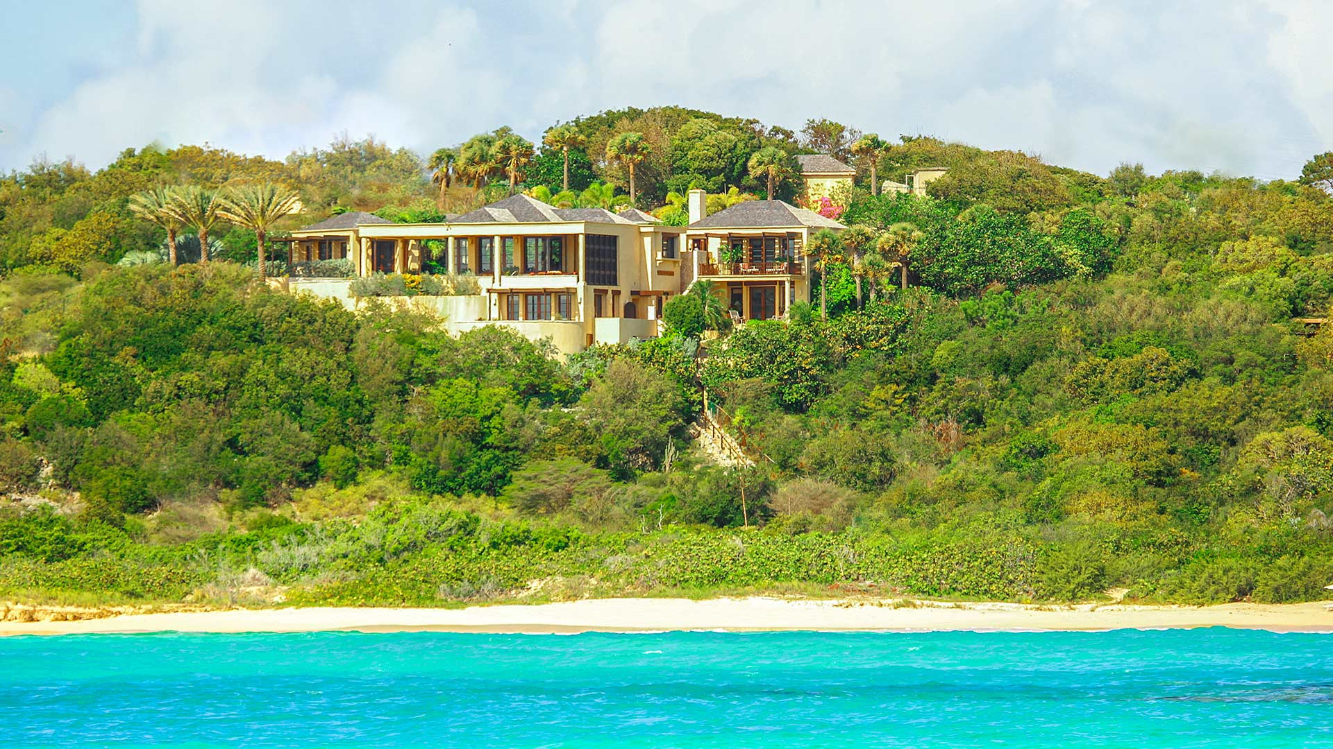 Bird of Paradise - Image 6