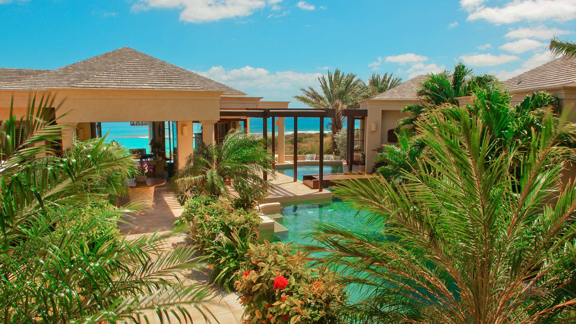 Bird of Paradise - Image 2