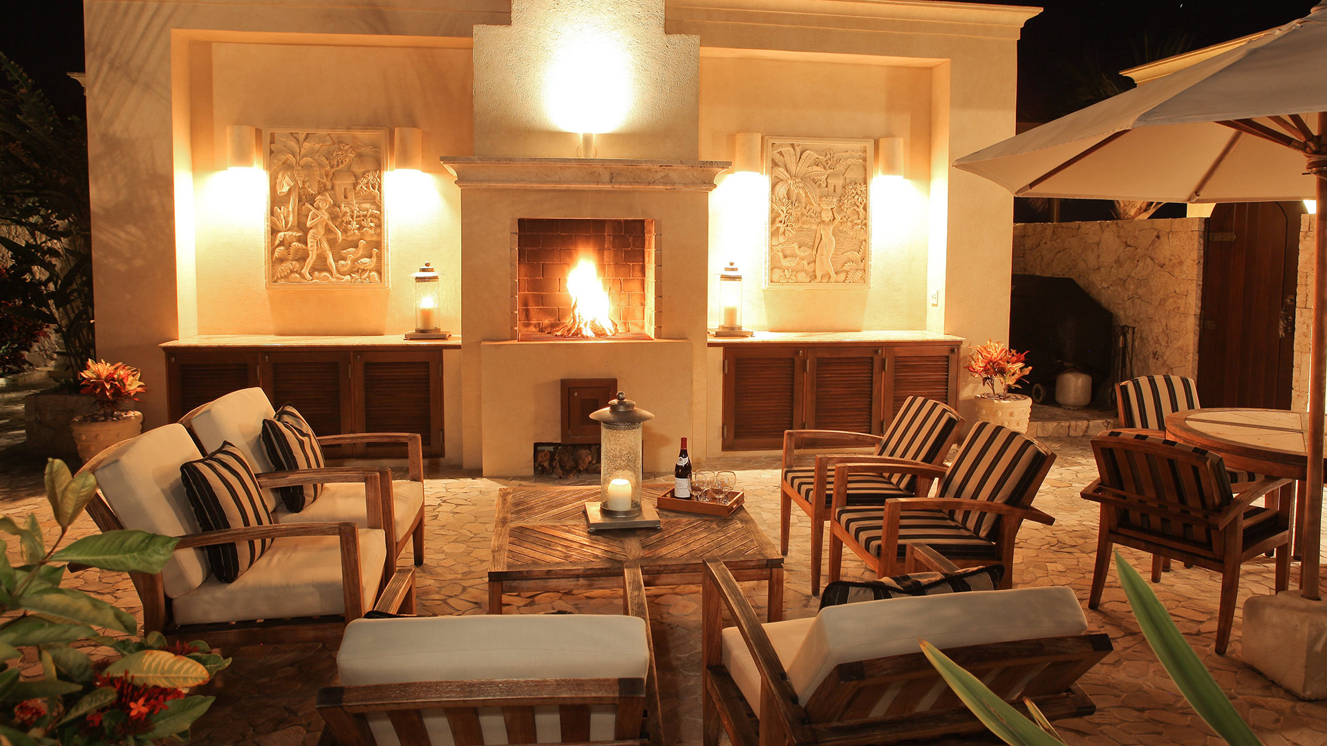 Bird of Paradise - Image 3