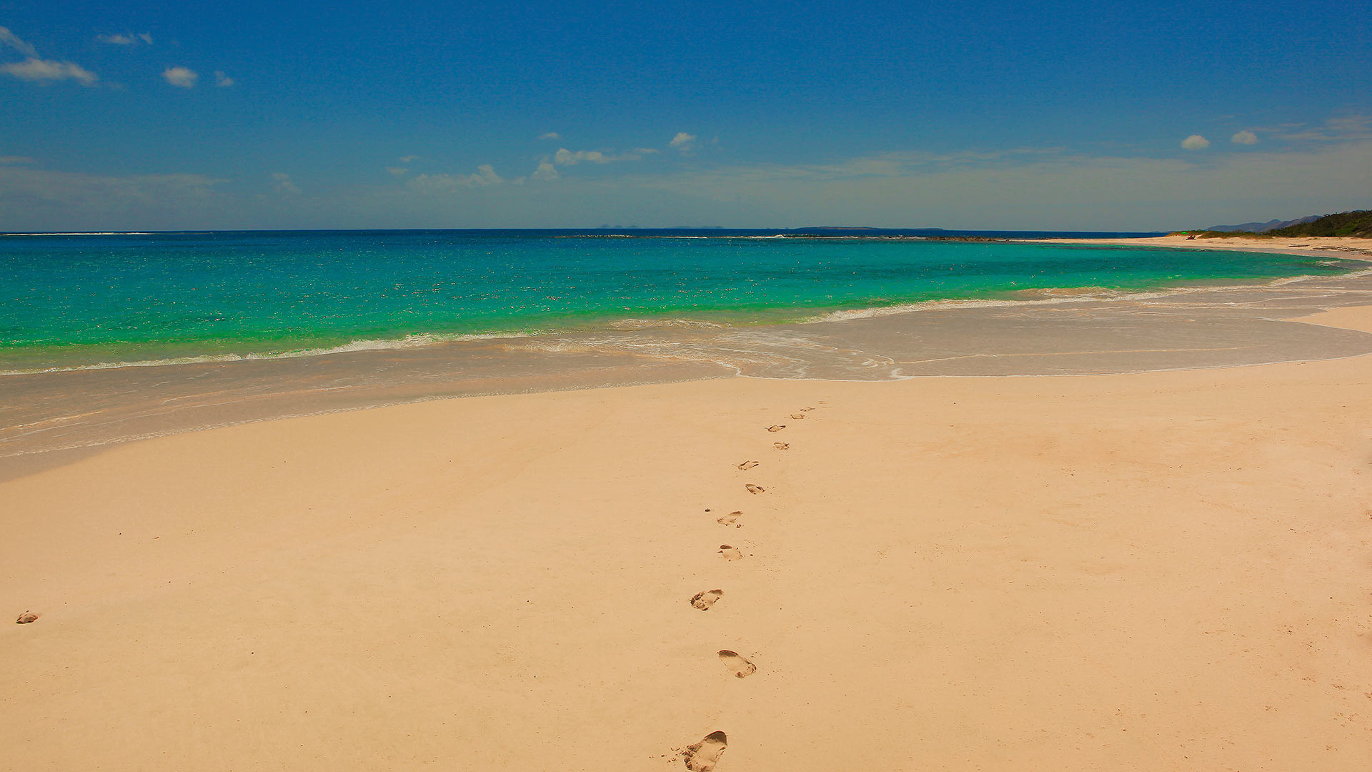 Bird of Paradise - 4-bedroom luxury villa in Anguilla - Image 15