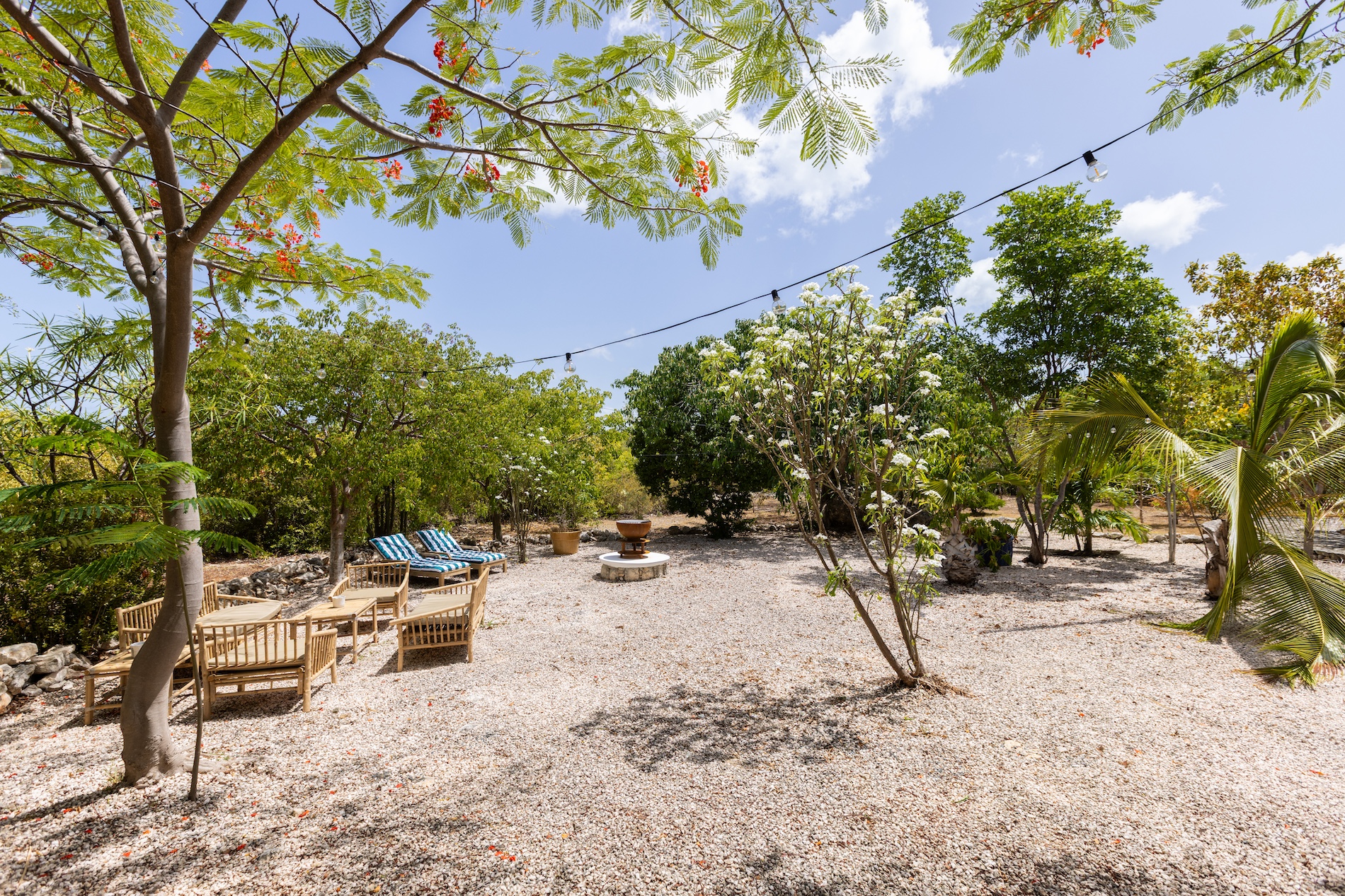 Villa Les Oliviers - 4-bedroom luxury villa in St. Maarten - Image 8