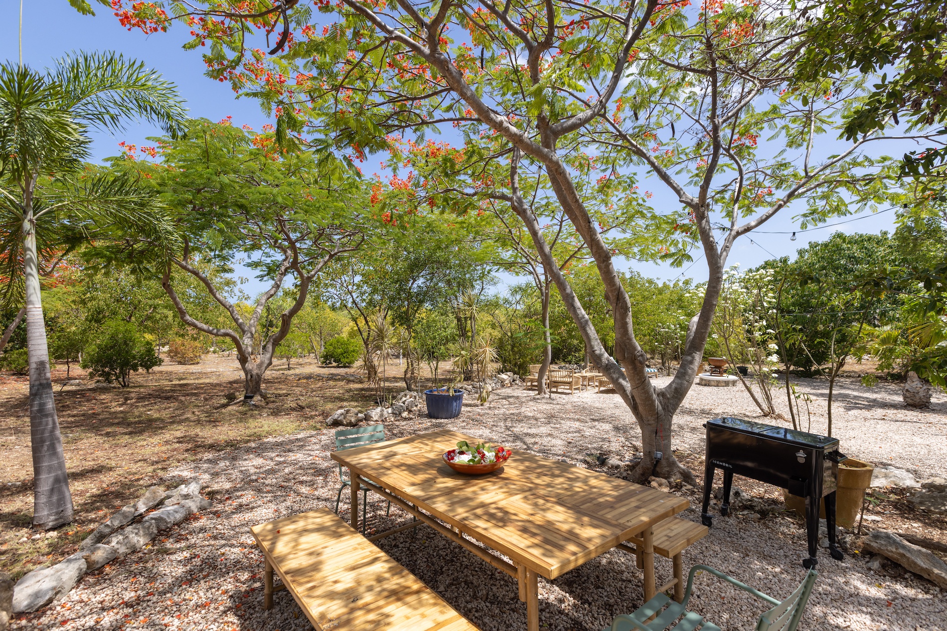 Villa Les Oliviers - 4-bedroom luxury villa in St. Maarten - Image 19