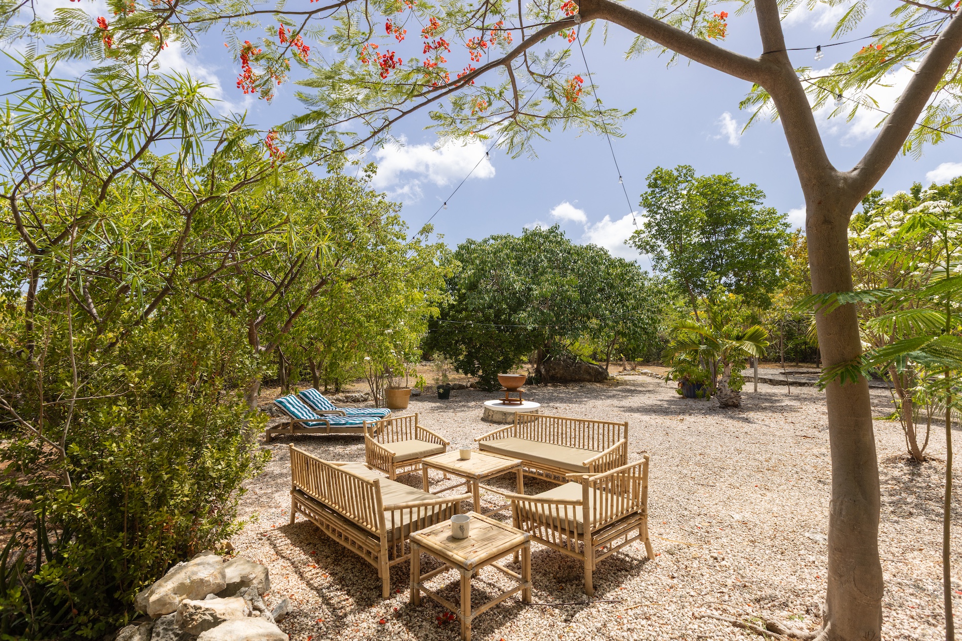 Villa Les Oliviers - 4-bedroom luxury villa in St. Maarten - Image 51