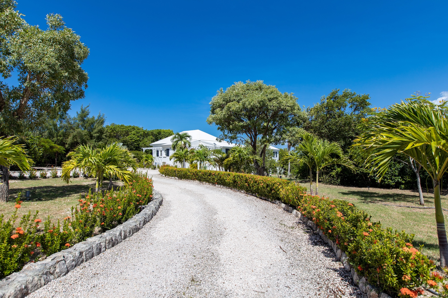 Villa Les Oliviers - 4-bedroom luxury villa in St. Maarten - Image 62