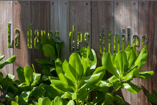 La Danse Des Etoiles - 5-bedroom luxury villa in La Danse Des Etoiles                                                 Pointe Milou - Image 11