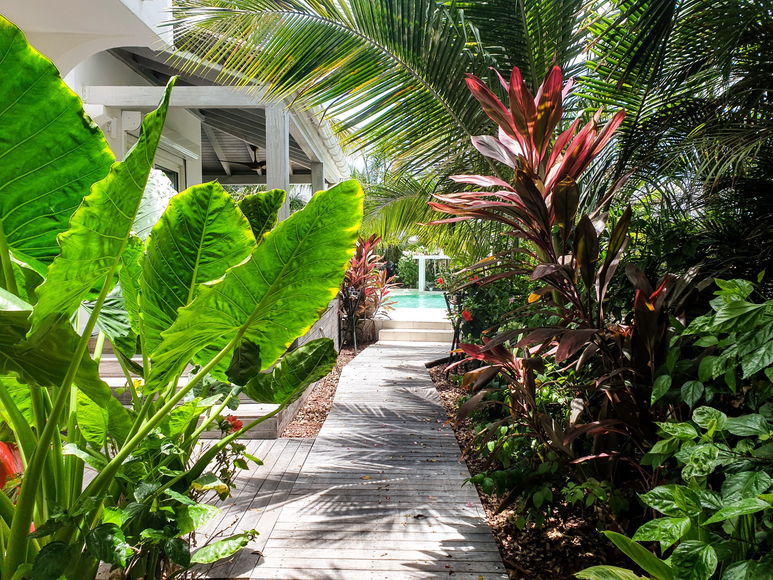 Villa Blue Lagoon - 5-bedroom luxury villa in Pointe Pirouette, Simpson Lagoon - Image 7