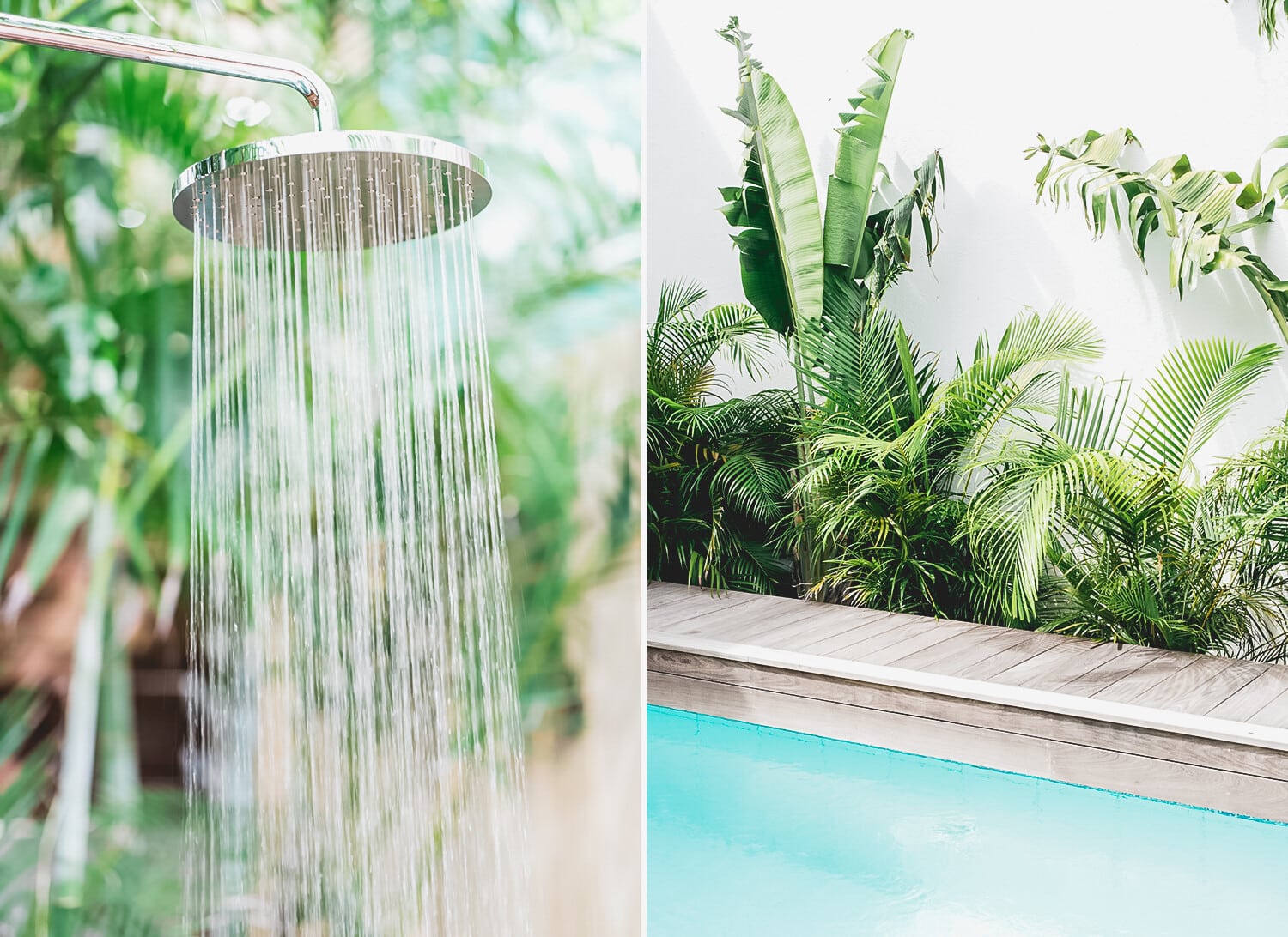 Les Palmiers - 2-bedroom luxury villa in St. Maarten - Image 23