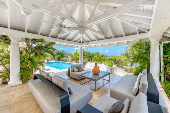 Antilles Pearl - Image 4