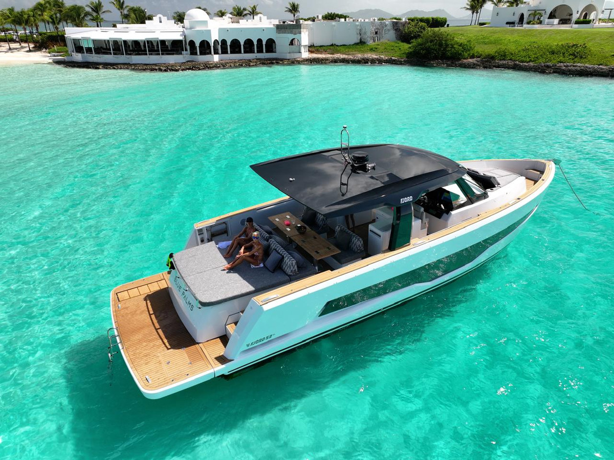 Blue Palms - Image 8