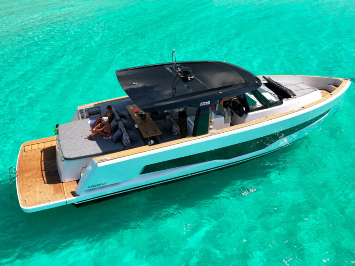 Blue Palms - Image 11