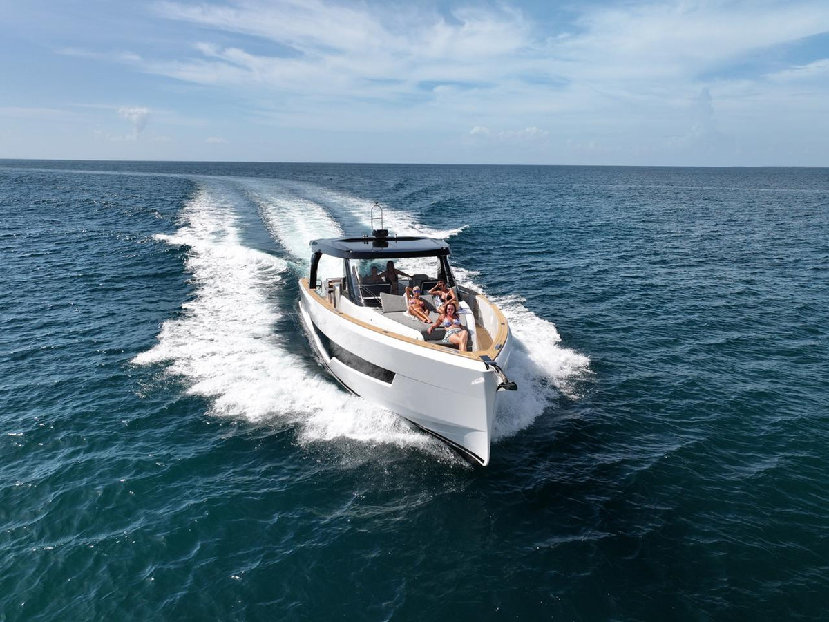 Blue Palms - Image 4