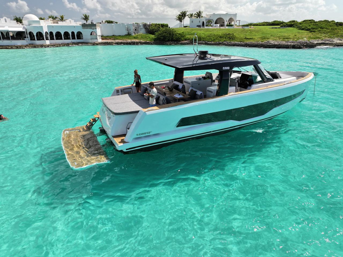 Blue Palms - Image 5