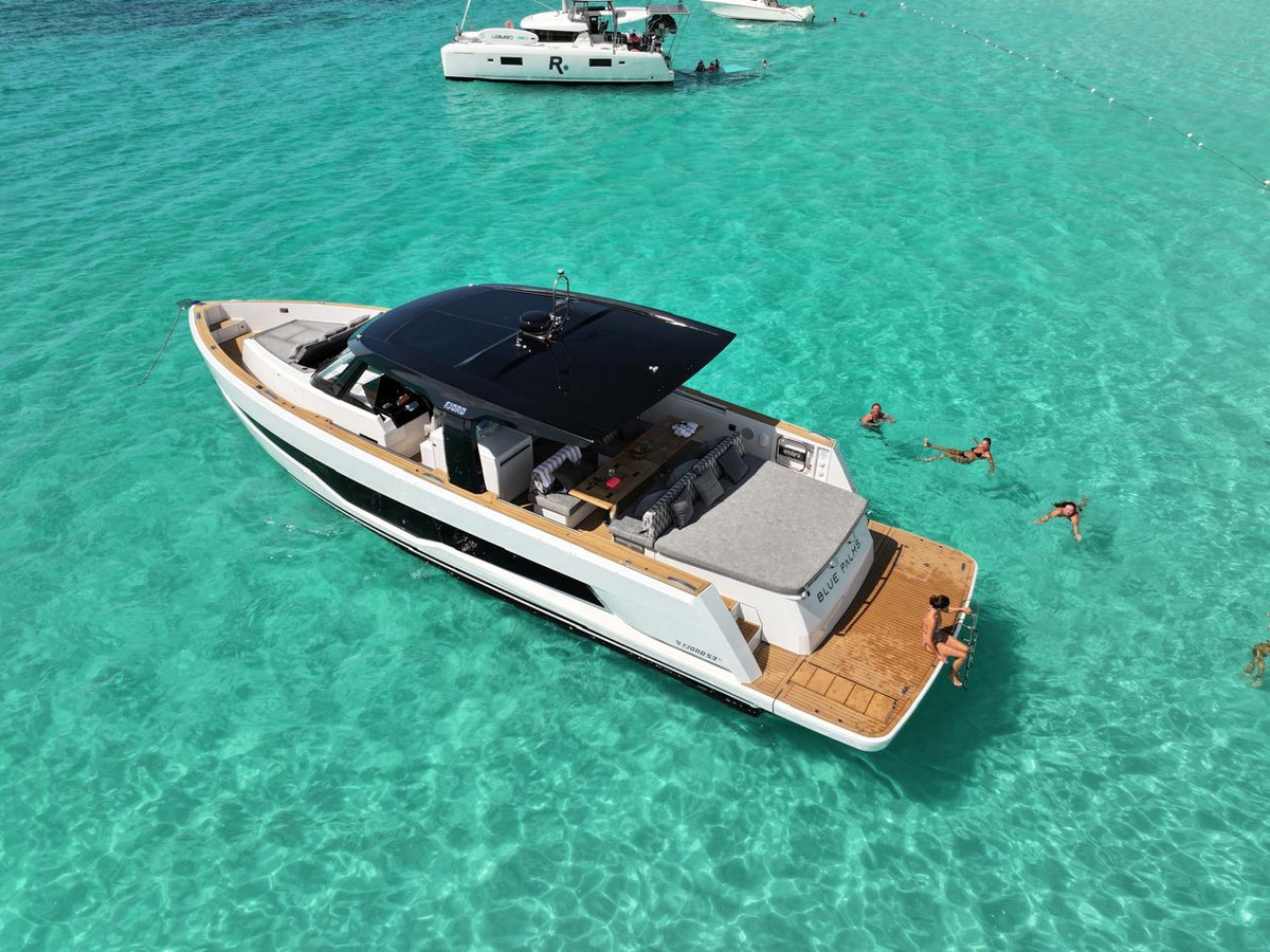 Blue Palms - Image 7