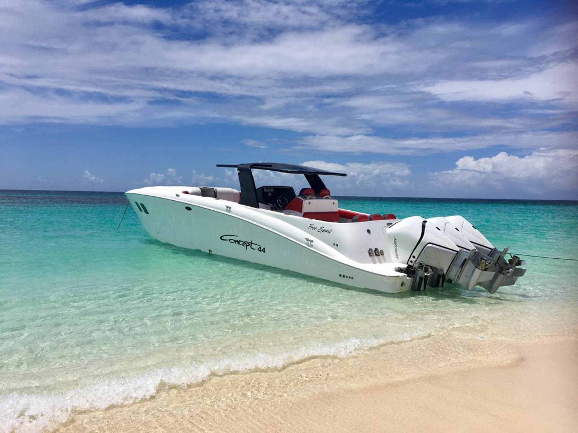 Free Spirit - Image 2