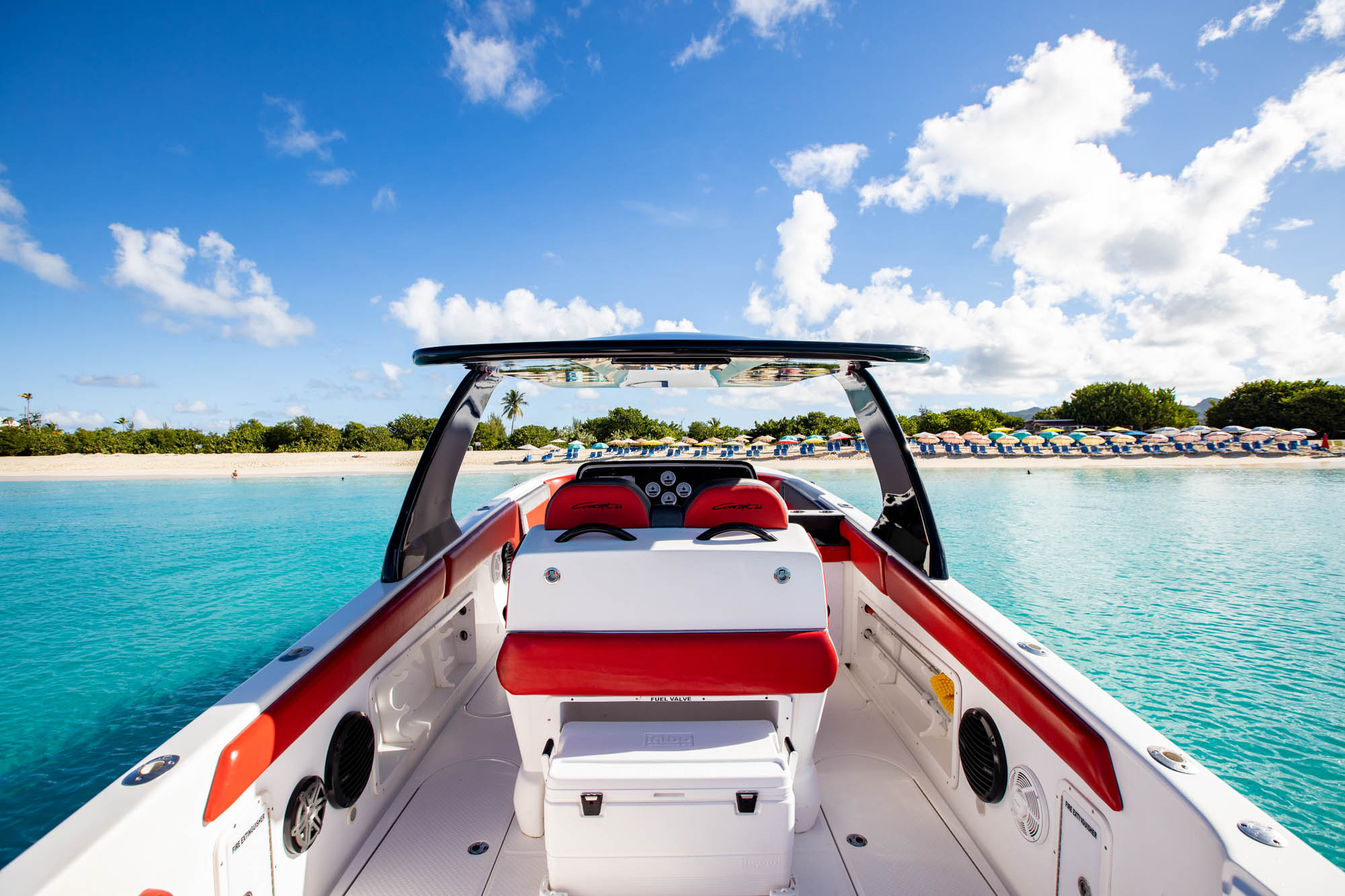 Free Spirit - Image 3