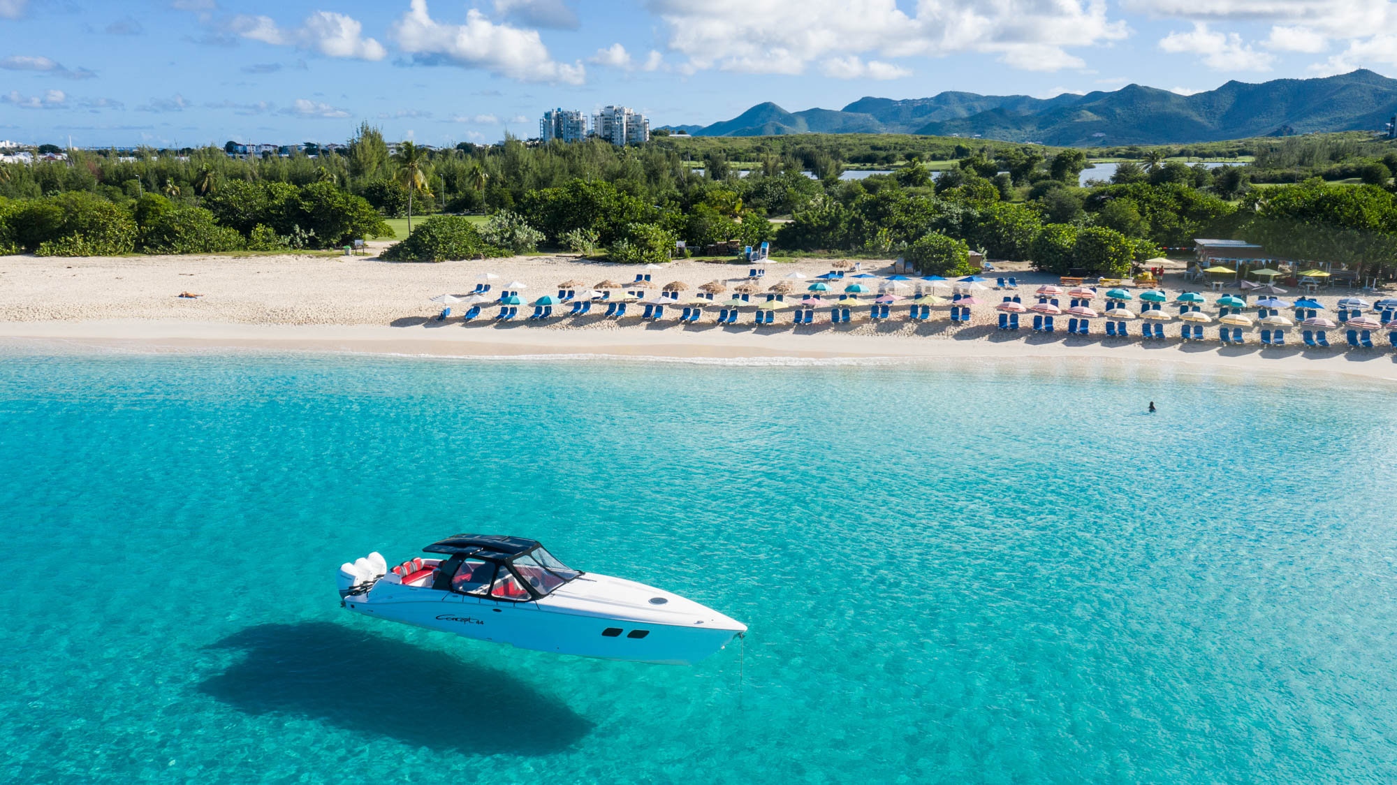 Free Spirit - Image 5