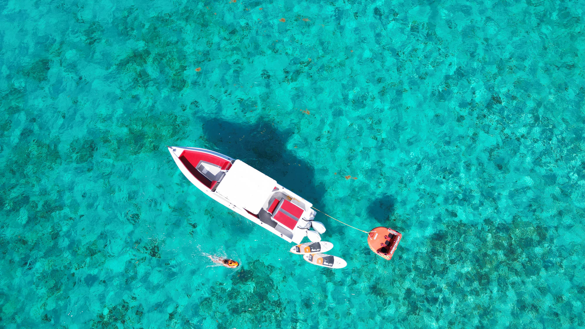 Natural Mystic - Image 2