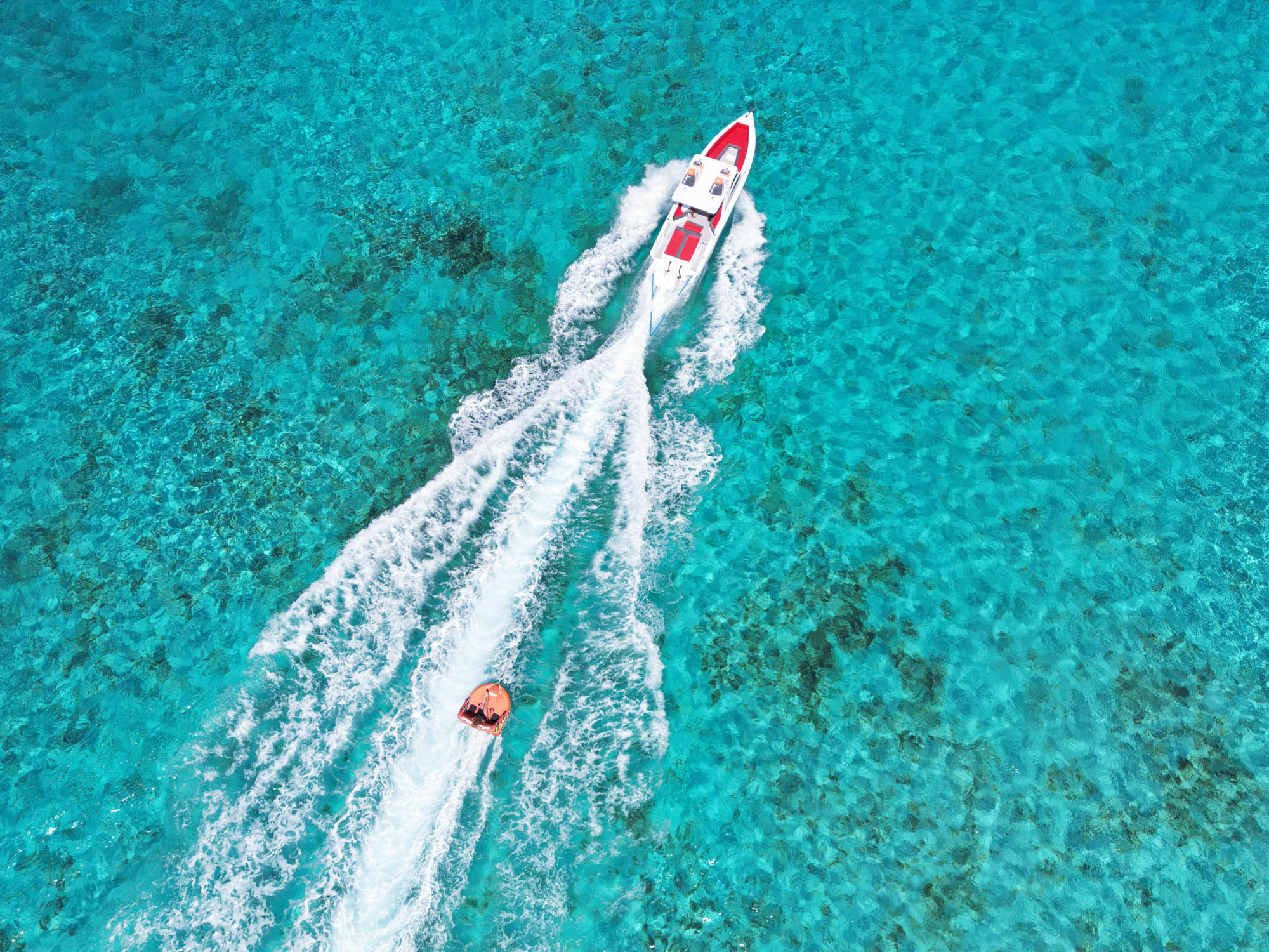 Natural Mystic - Image 7